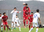 包含青岛中能客场击败江苏苏宁，积分榜上升的词条