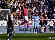 米兰体育地址-法甲各队势均力敌，巴黎圣日耳曼稳占榜首的简单介绍